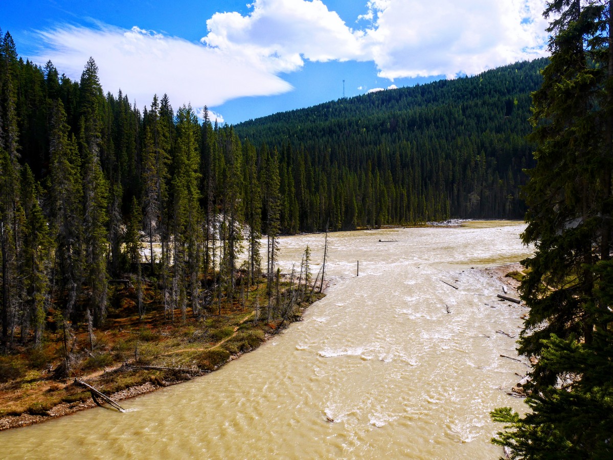 Kicking Horse River on the Wapta Falls Hike in Yoho National Park, British Columbia