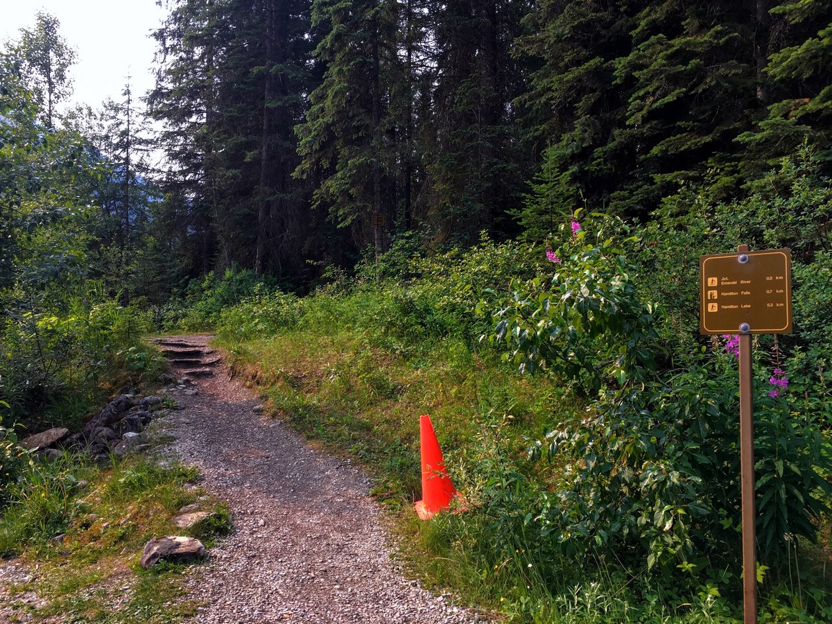 Trailhead of the Hamilton Lake Hike in Yoho National Park, British Columbia