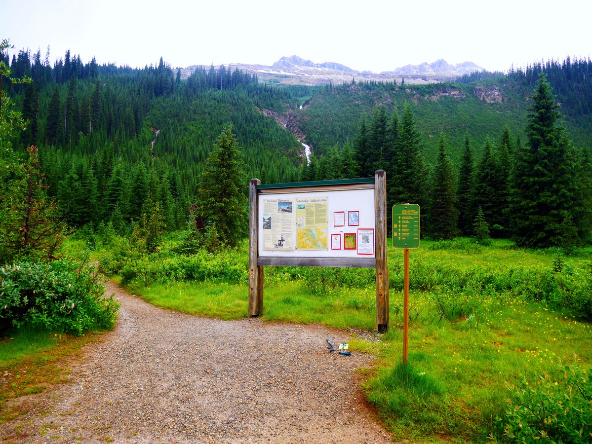 Trailhead of the Yoho Lake Hike in Yoho National Park, British Columbia