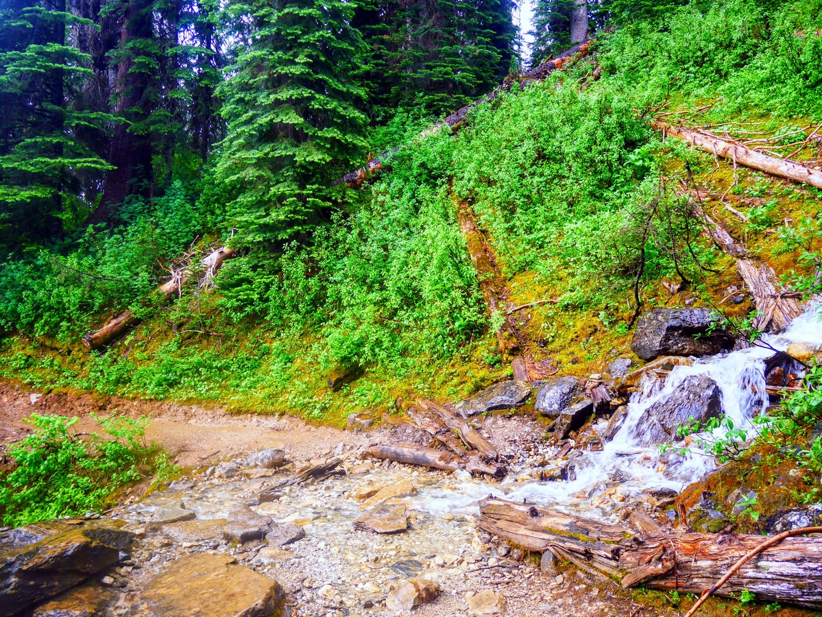 Creek crossing the Yoho Lake Hike in Yoho National Park, British Columbia