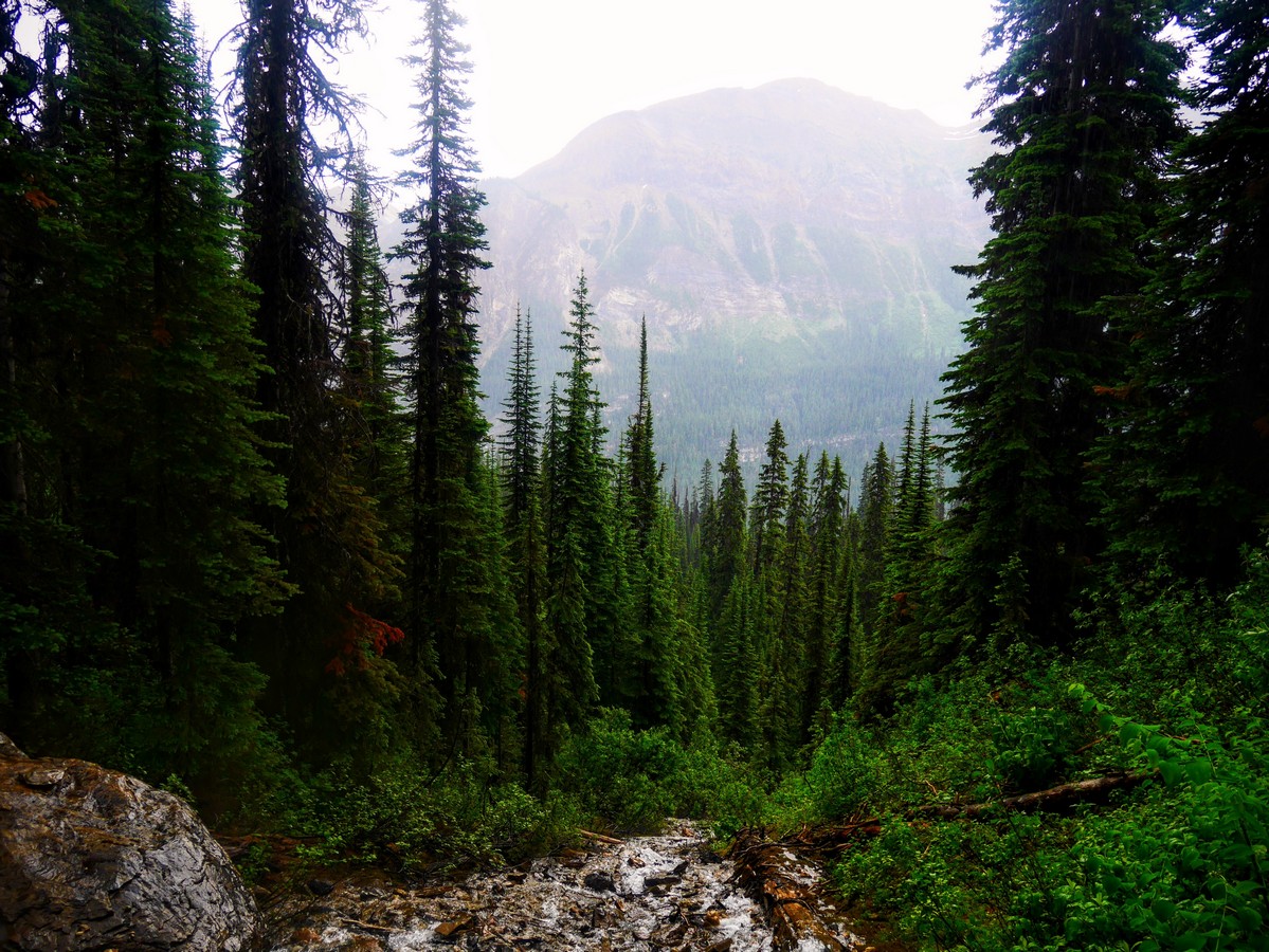 Looking across the valley on the Yoho Lake Hike in Yoho National Park, British Columbia