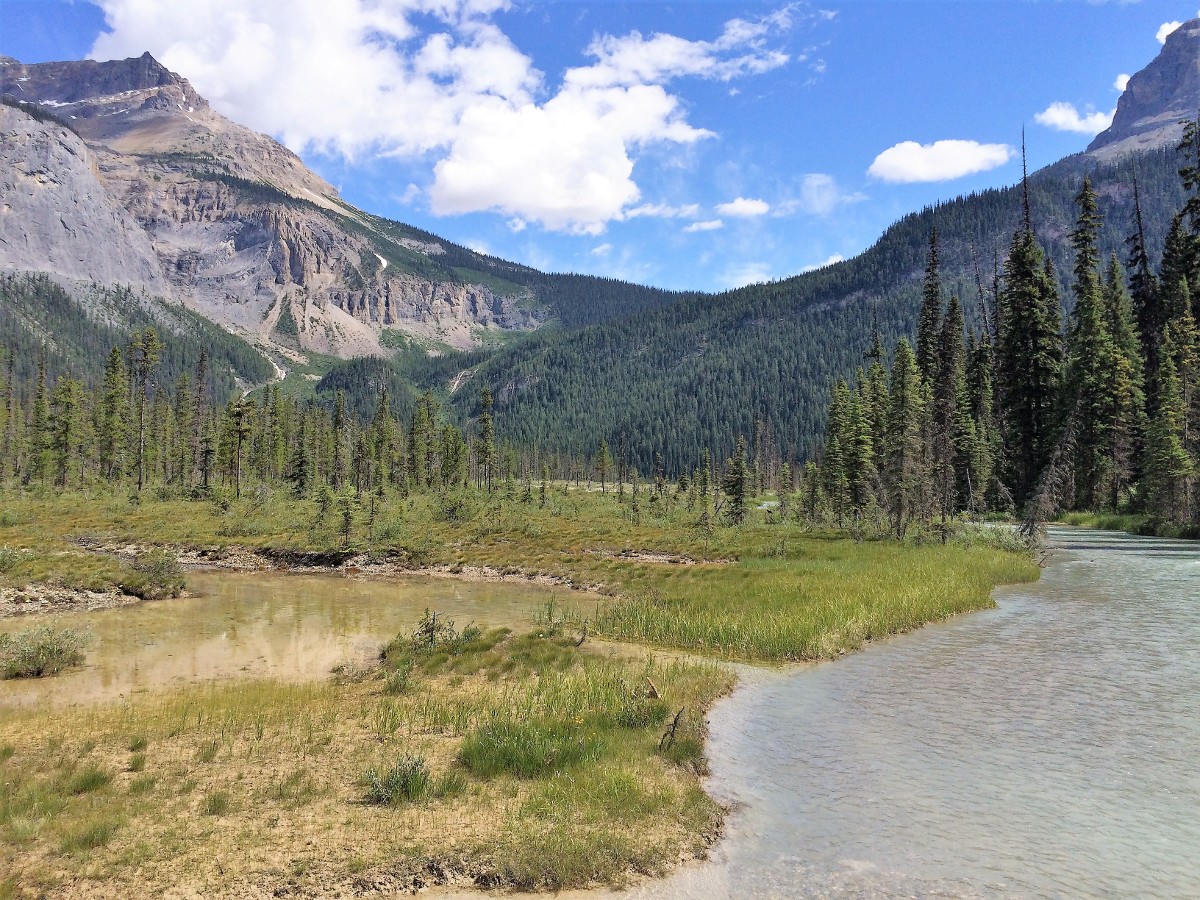 Beautiful views from the Emerald Lake Circuit Hike in Yoho National Park