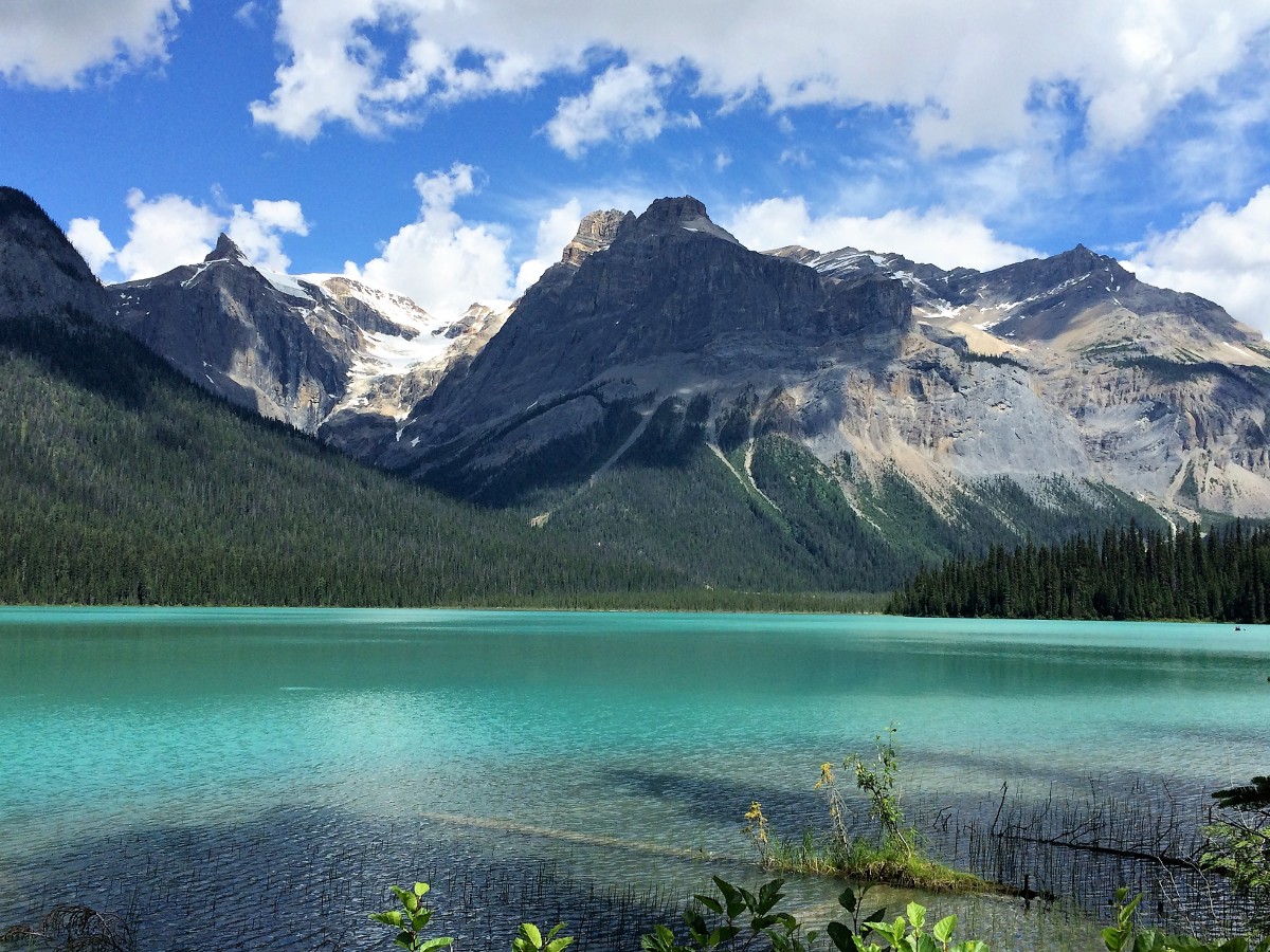 Views of the Emerald Lake Circuit Hike in Yoho National Park
