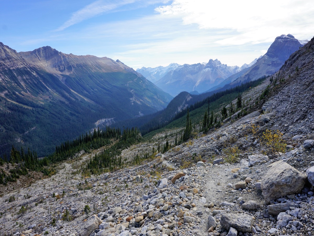 Views of the valley on the Iceline Hike in Yoho National Park, Canada