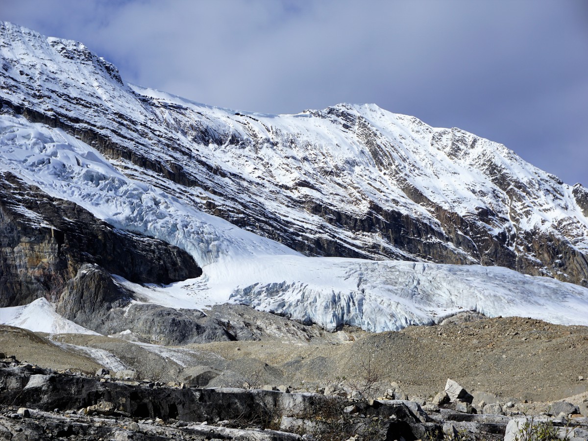 Iceline Trail in Yoho National Park has glacier views