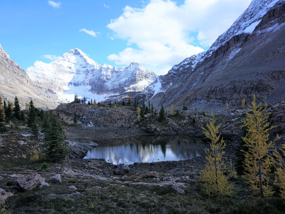 Trail of the Lake McArthur Hike in Yoho National Park, Canada