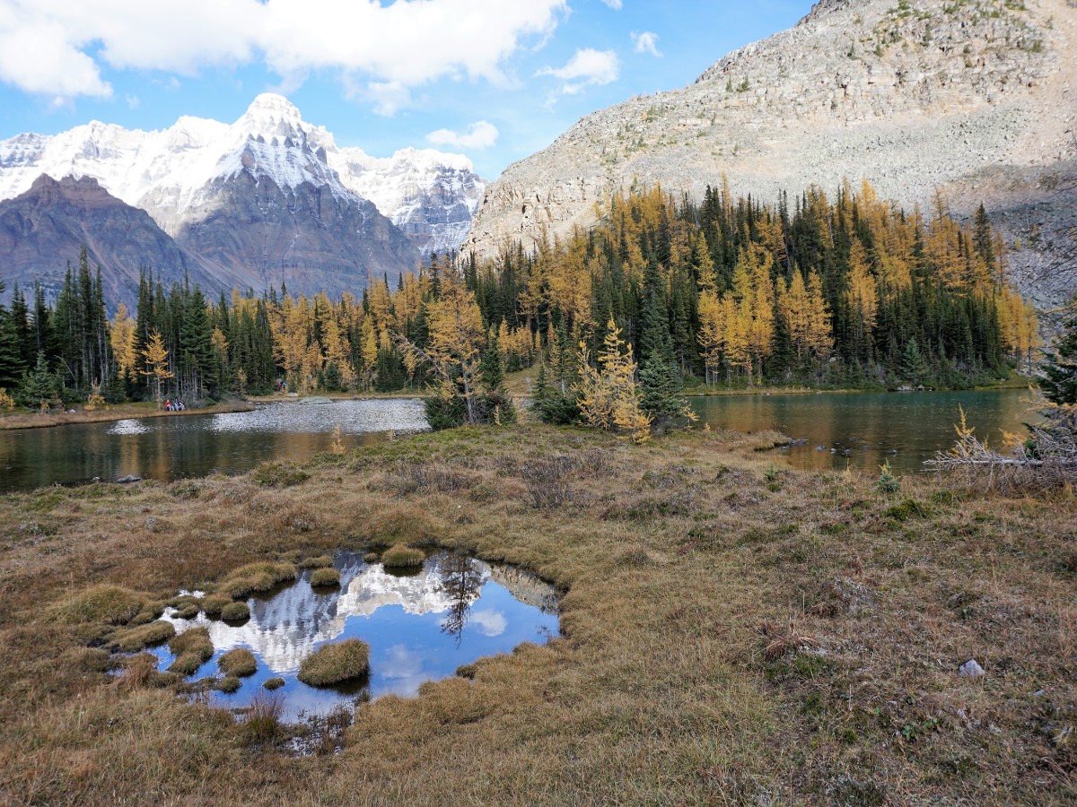 View of the Lake McArthur Hike in Yoho National Park, Canada