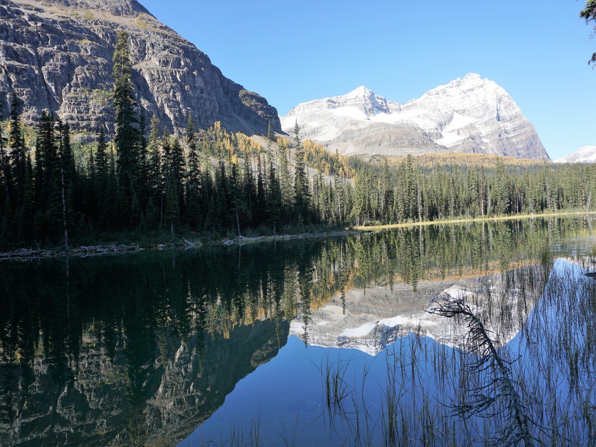 Morning views of the Lake O'Hara All Souls Route Hike in Yoho National Park, Canada