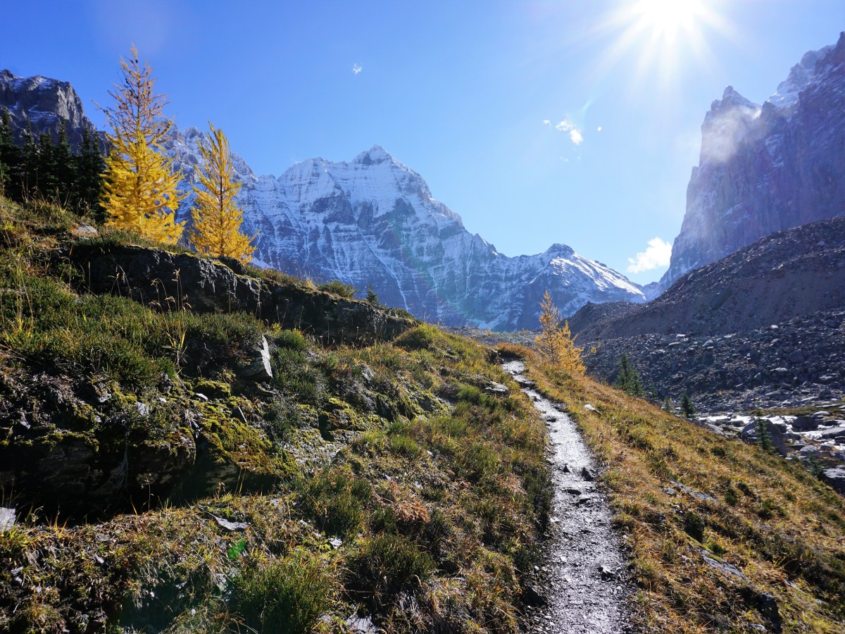 Trail to the lake on the Lake O'Hara All Souls Route Hike in Yoho National Park, Canada