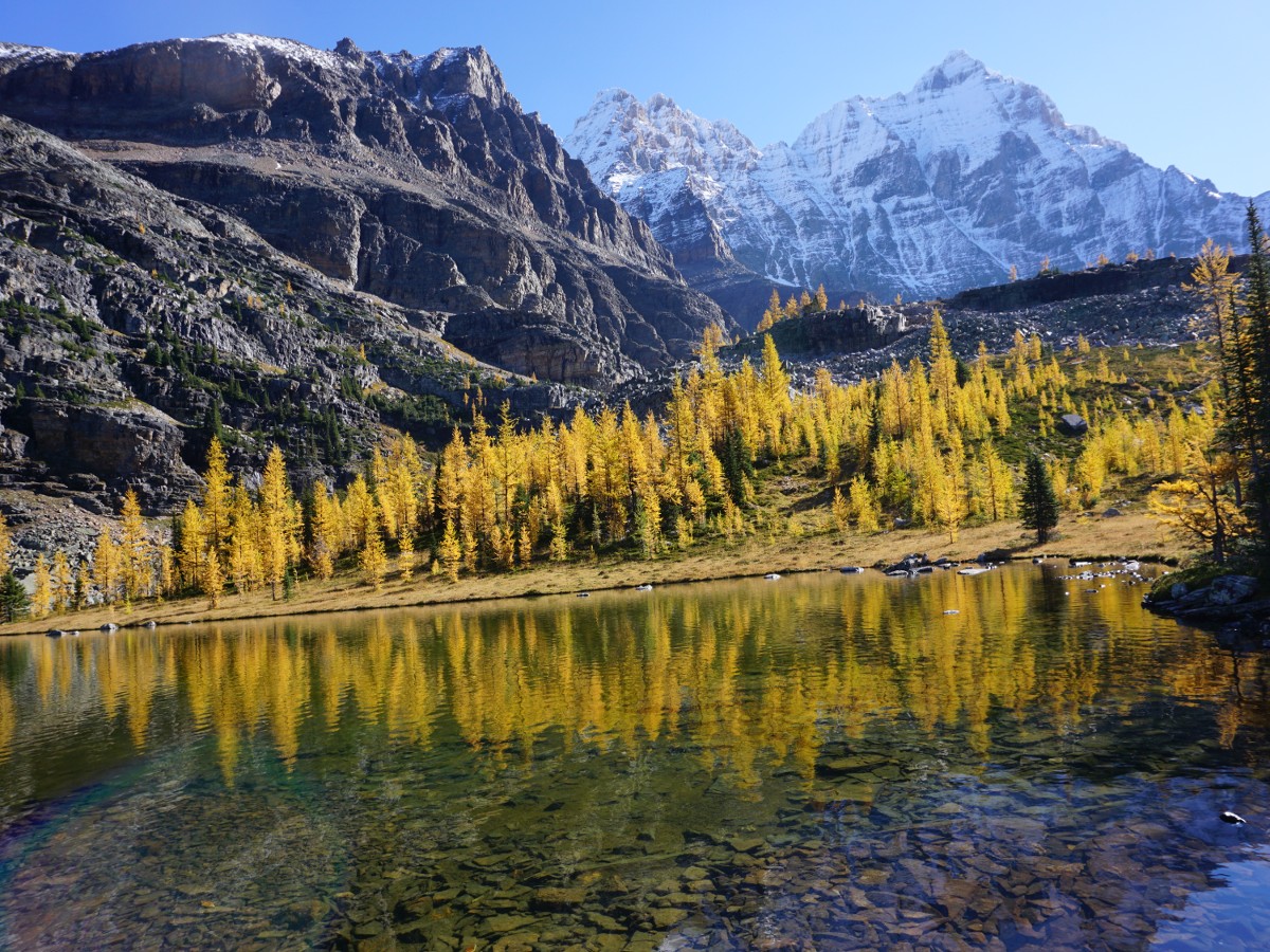 Views hiking above the lake on the Lake O'Hara All Souls Route Hike in Yoho National Park, Canada