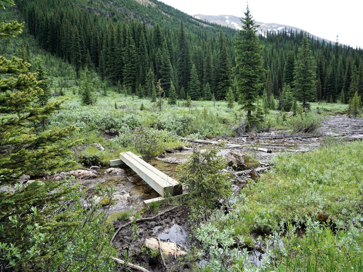 Bridge on the Niles Meadow and Sherbrooke Lake Hike in Yoho National Park, Canada