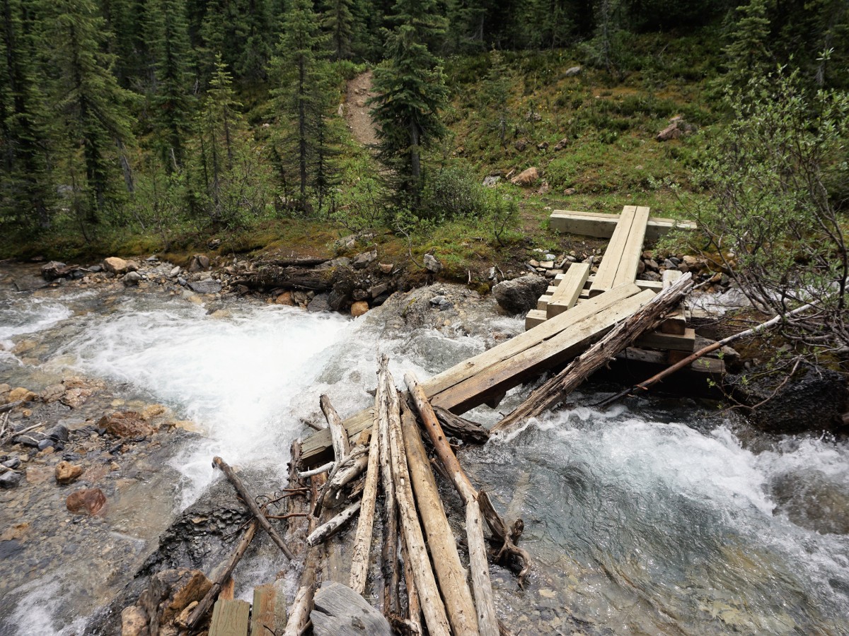 Niles Meadow and Sherbrooke Lake Hike in Yoho National Park goes through the bridge