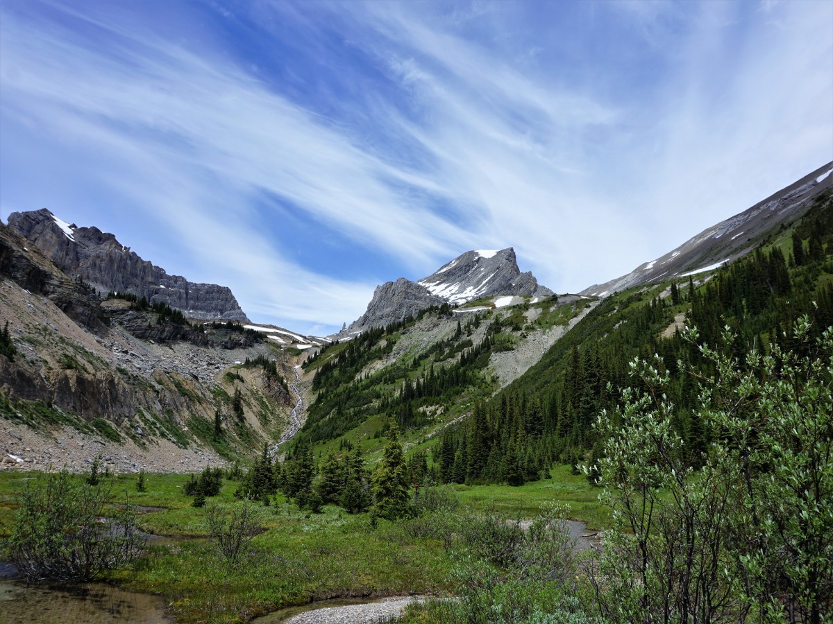 Views from the Niles Meadow and Sherbrooke Lake Hike in Yoho National Park, Canada