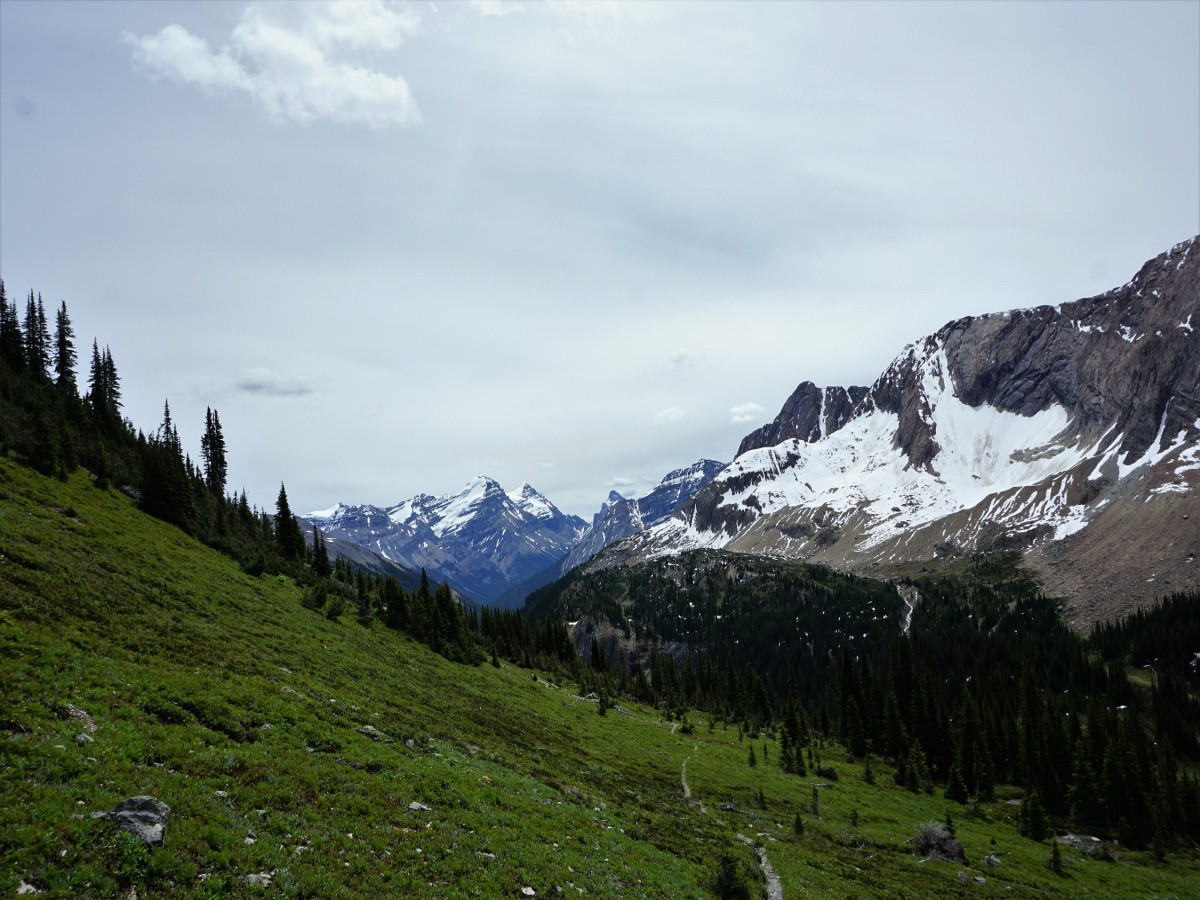 Trail of the Niles Meadow and Sherbrooke Lake Hike in Yoho National Park, Canada