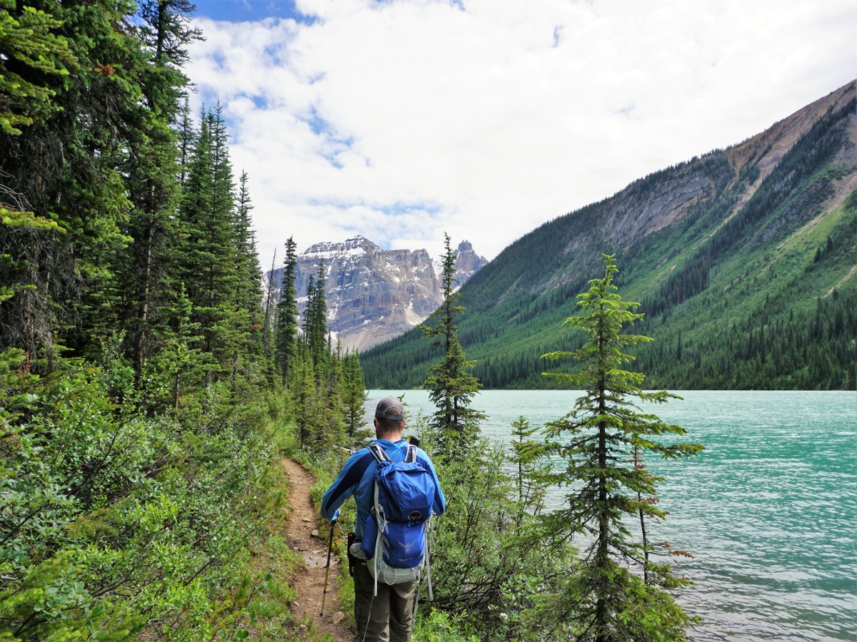 Trail on the Niles Meadow and Sherbrooke Lake Hike in Yoho National Park, Canada