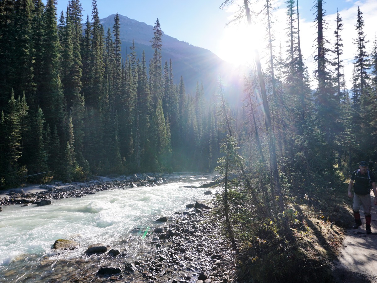 Views from the Twin Falls and Whaleback Hike in Yoho National Park, Canada