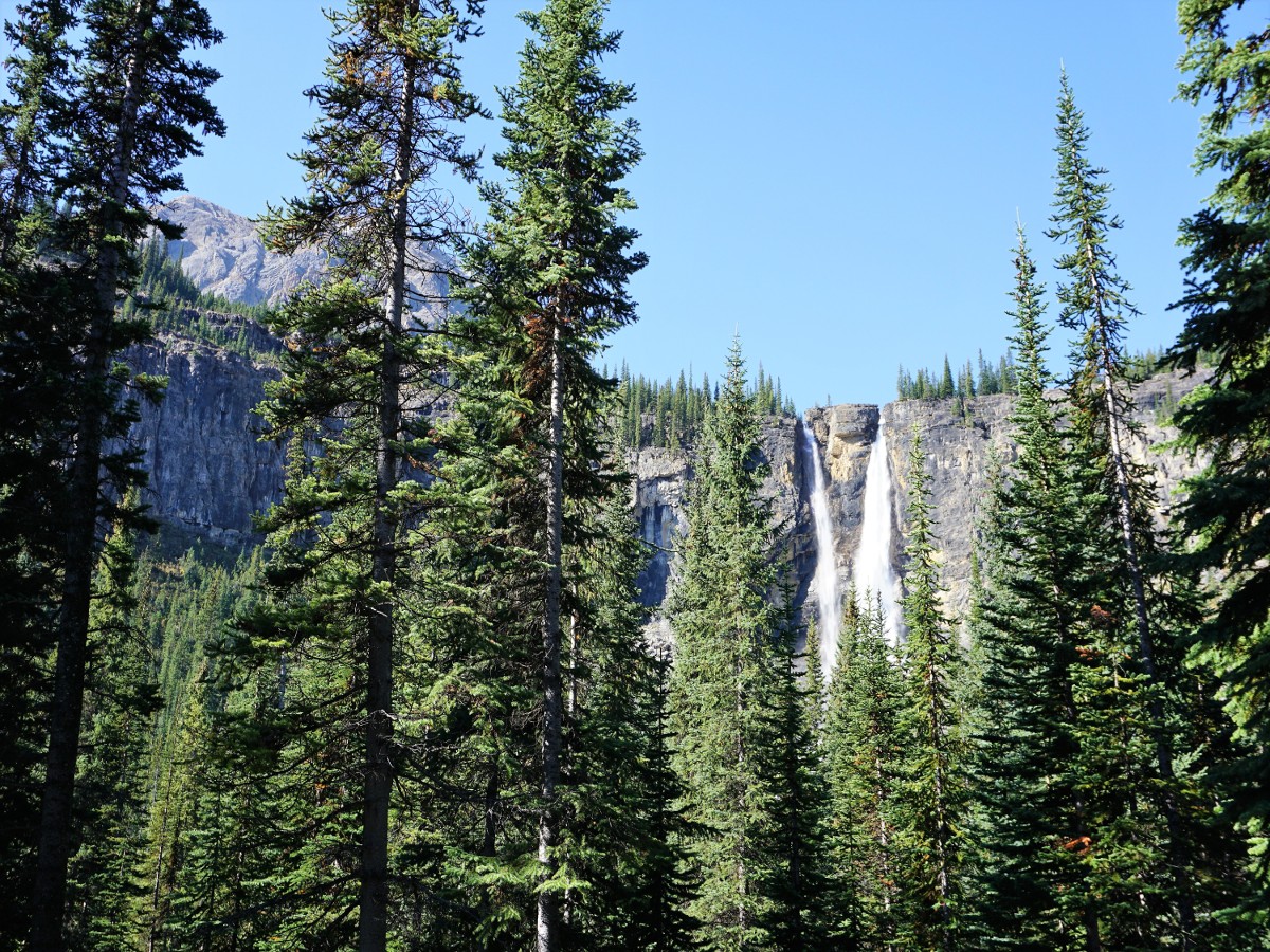 A far view on the Twin Falls and Whaleback Hike in Yoho National Park, Canada