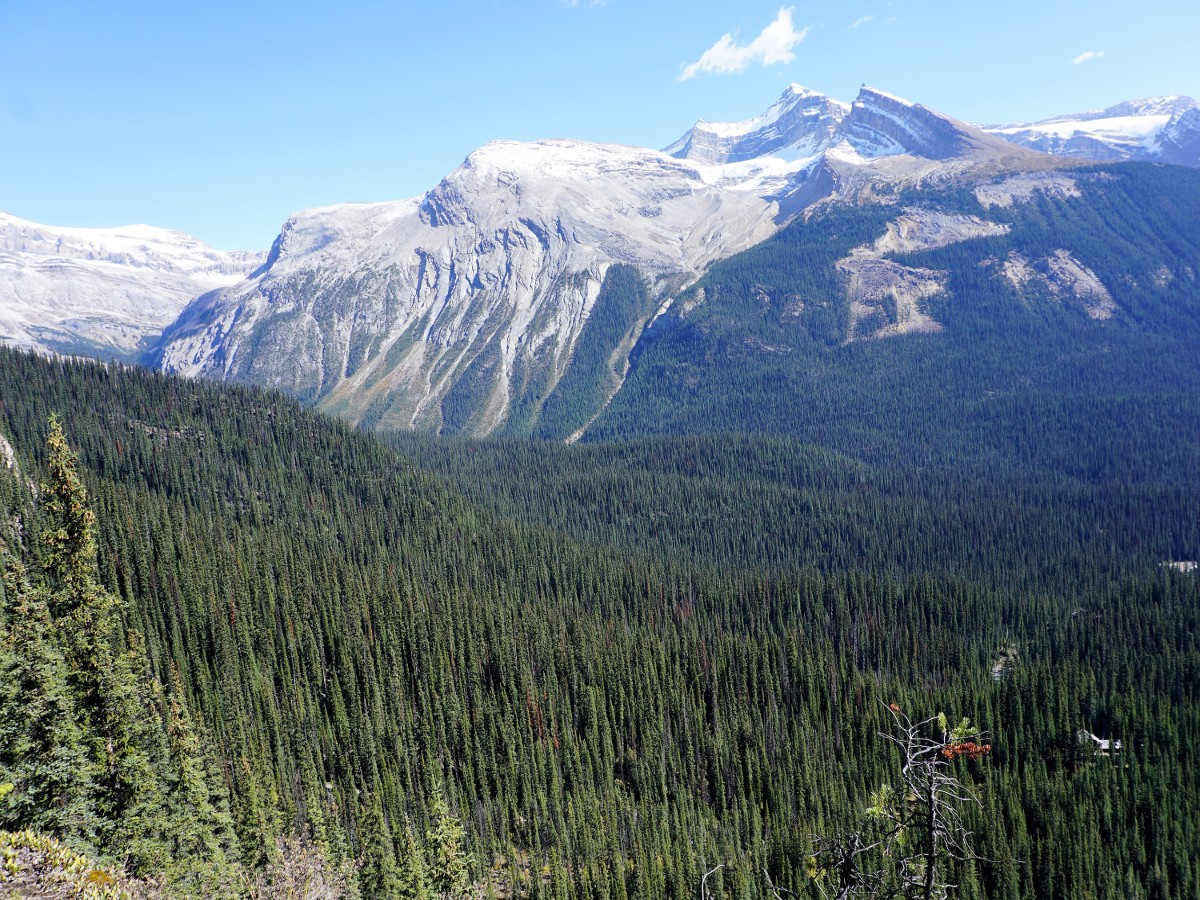 Views from Twin Falls and Whaleback Hike in Yoho National Park