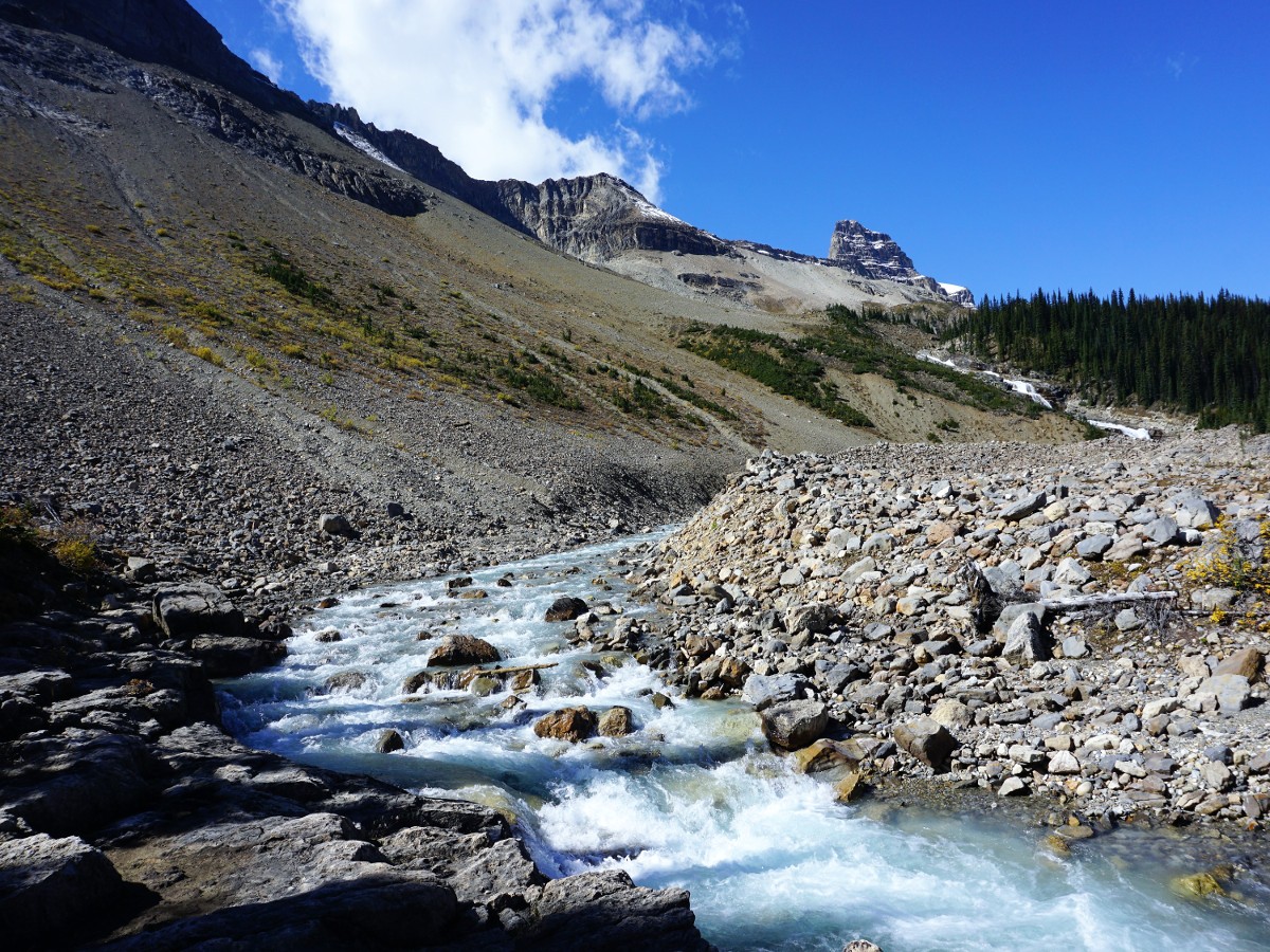 High Alpine views below Whaleback Mountain on the Twin Falls and Whaleback Hike in Yoho National Park, Canada