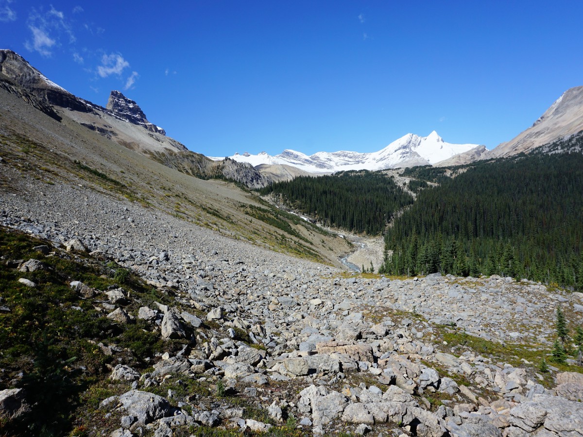 Alpine views on the Twin Falls and Whaleback Hike in Yoho National Park, Canada