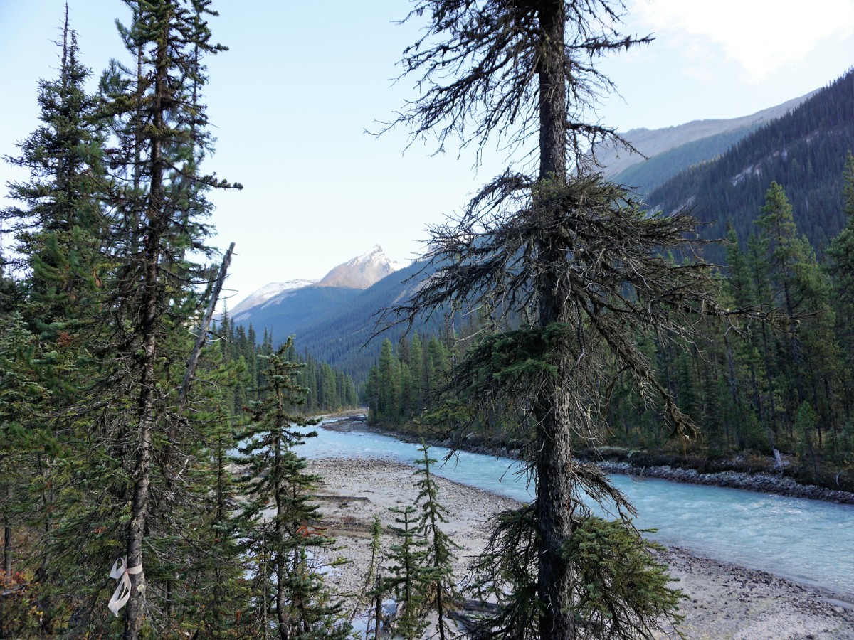 Hiking along the river on the Yoho Valley Circuit Hike in Yoho National Park, Canada
