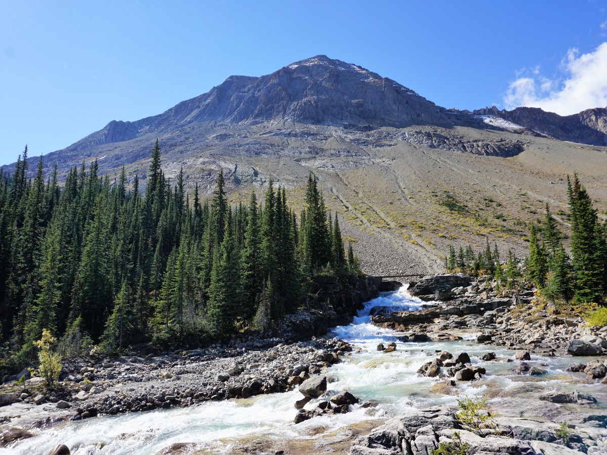 Creek heading up over Whaleback on the Yoho Valley Circuit Hike in Yoho National Park, Canada