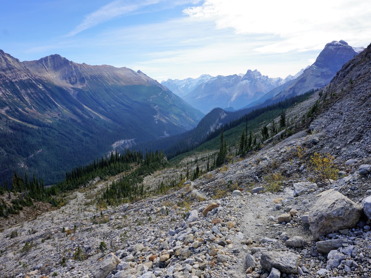 View of the valley from the Yoho Valley Circuit Hike in Yoho National Park, Canada