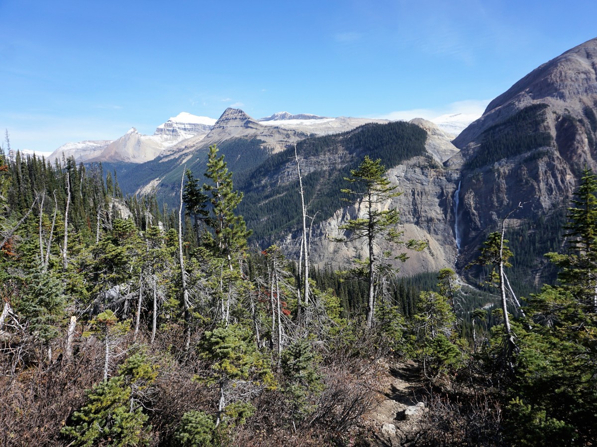 Coming out of the trees on the Yoho Valley Circuit Hike in Yoho National Park, Canada