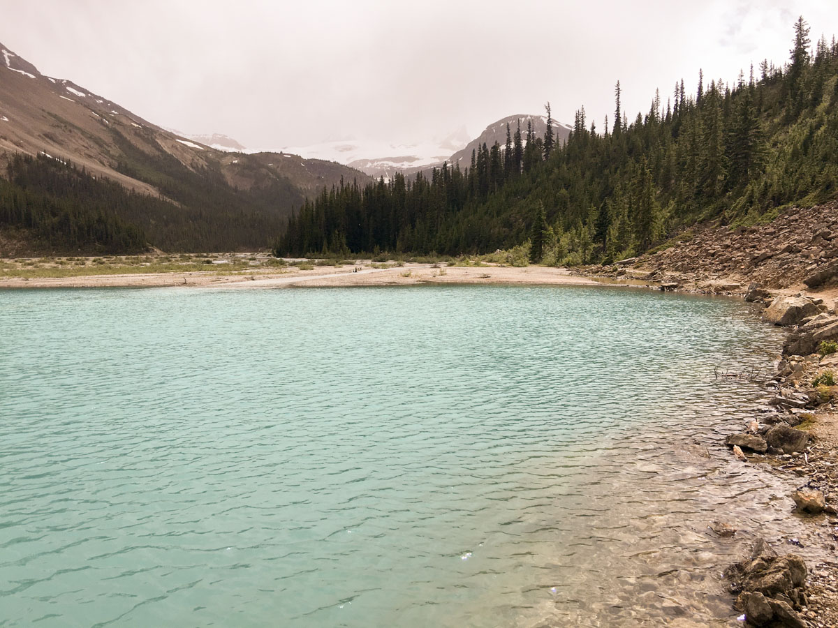 Beautiful views on Bow Lake walk from Icefields Parkway, Alberta, Canada