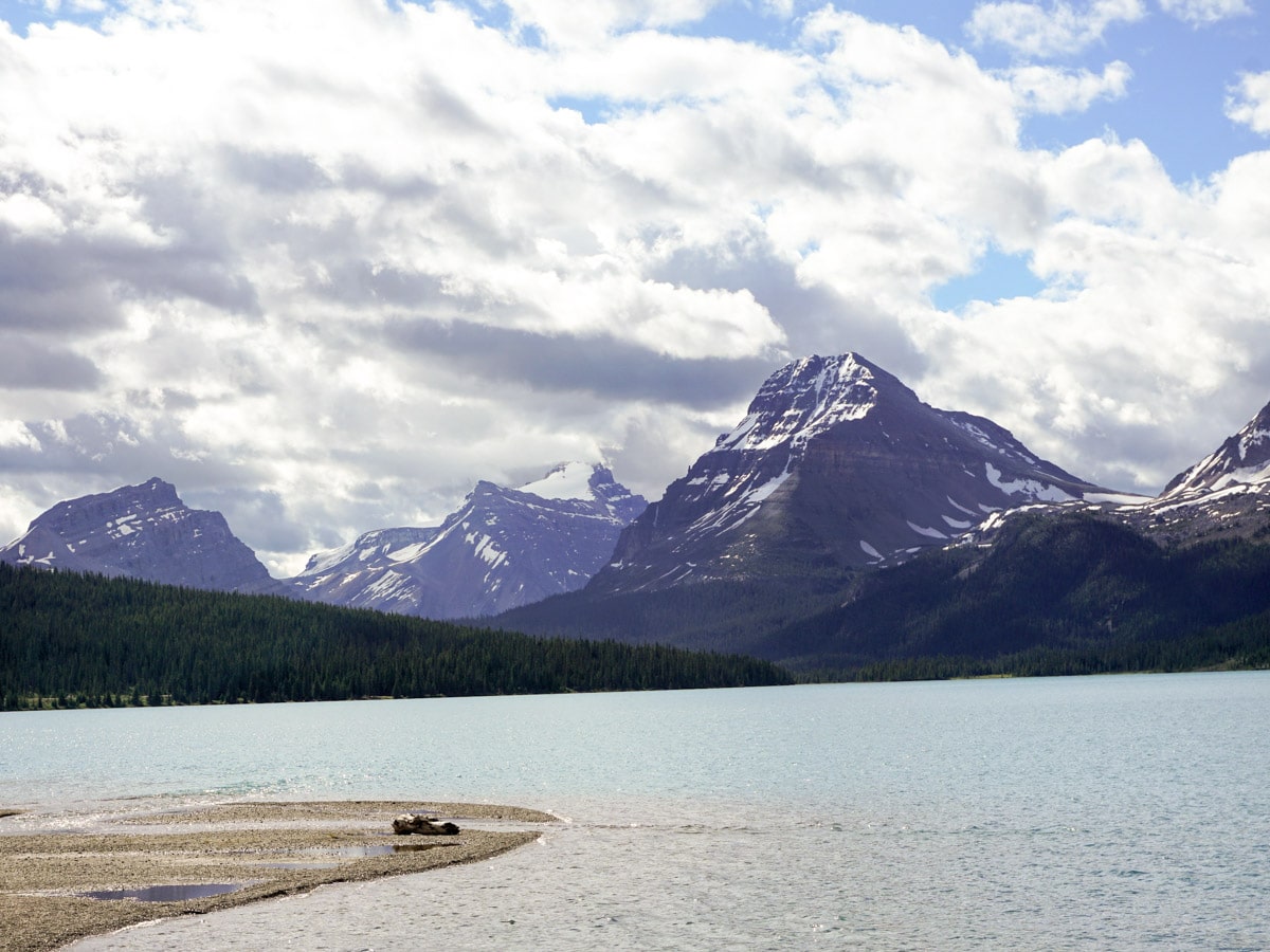 Summer views on Bow Lake walk from Icefields Parkway, Alberta, Canada