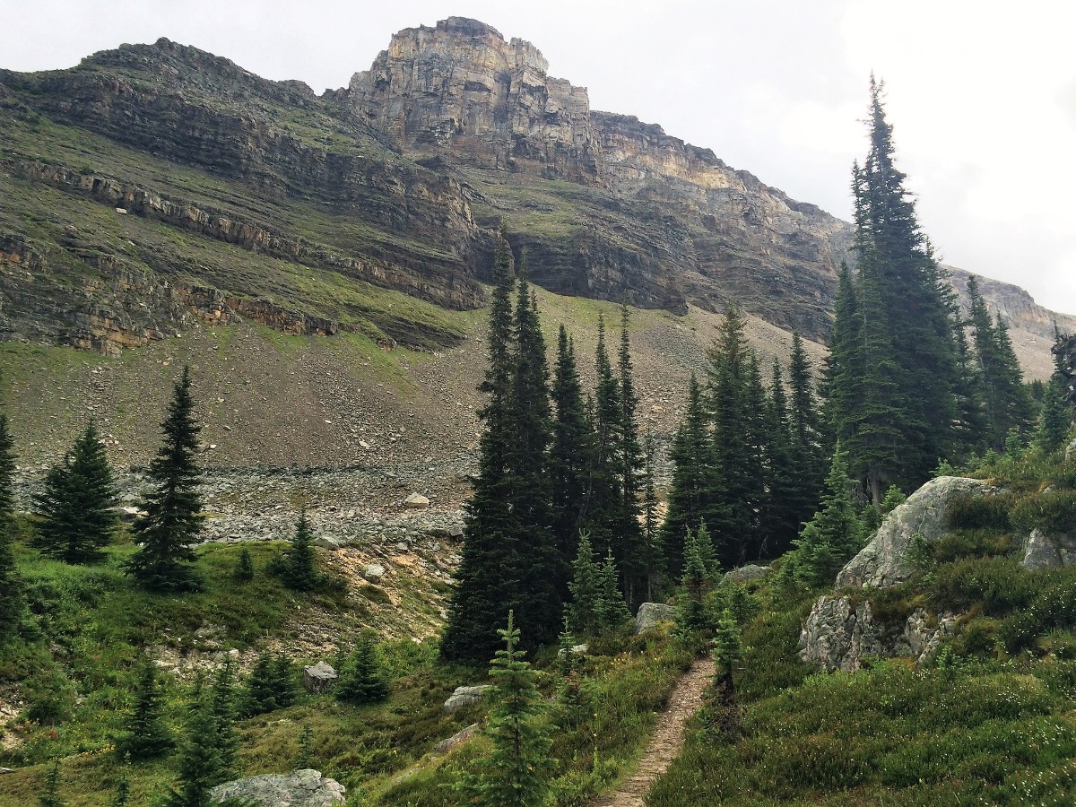 Climbing upon the Crowfoot Pass and Balfour Viewpoint Hike from the Icefields Parkway near Banff National Park