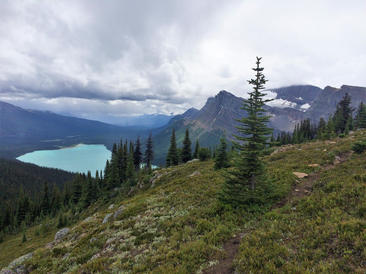 Stunning Blue on the Crowfoot Pass and Balfour Viewpoint Hike from the Icefields Parkway near Banff National Park