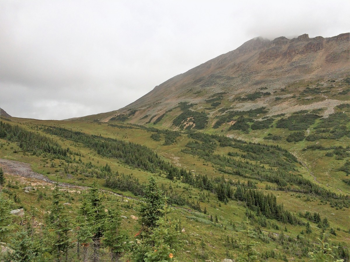 Bow Peak Scramble as seen from the Crowfoot Pass and Balfour Viewpoint Hike from the Icefields Parkway near Banff National Park