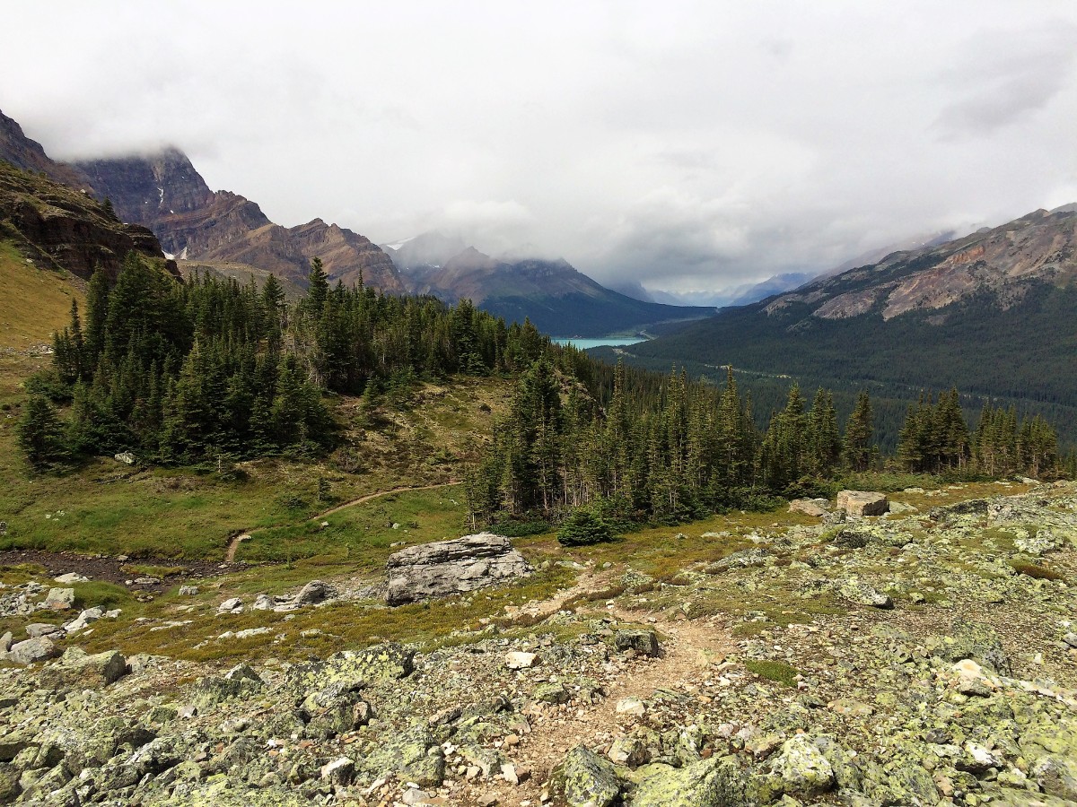 The route down the pass on the Crowfoot Pass and Balfour Viewpoint Hike from the Icefields Parkway near Banff National Park