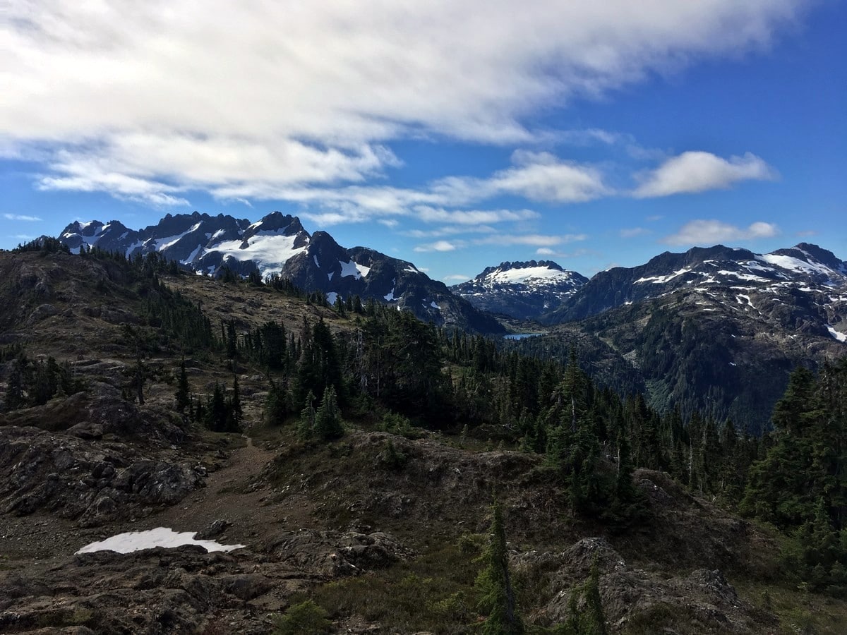 Surrounding peaks on the Flower Ridge Hike in Strathcona Provincial Park, Canada