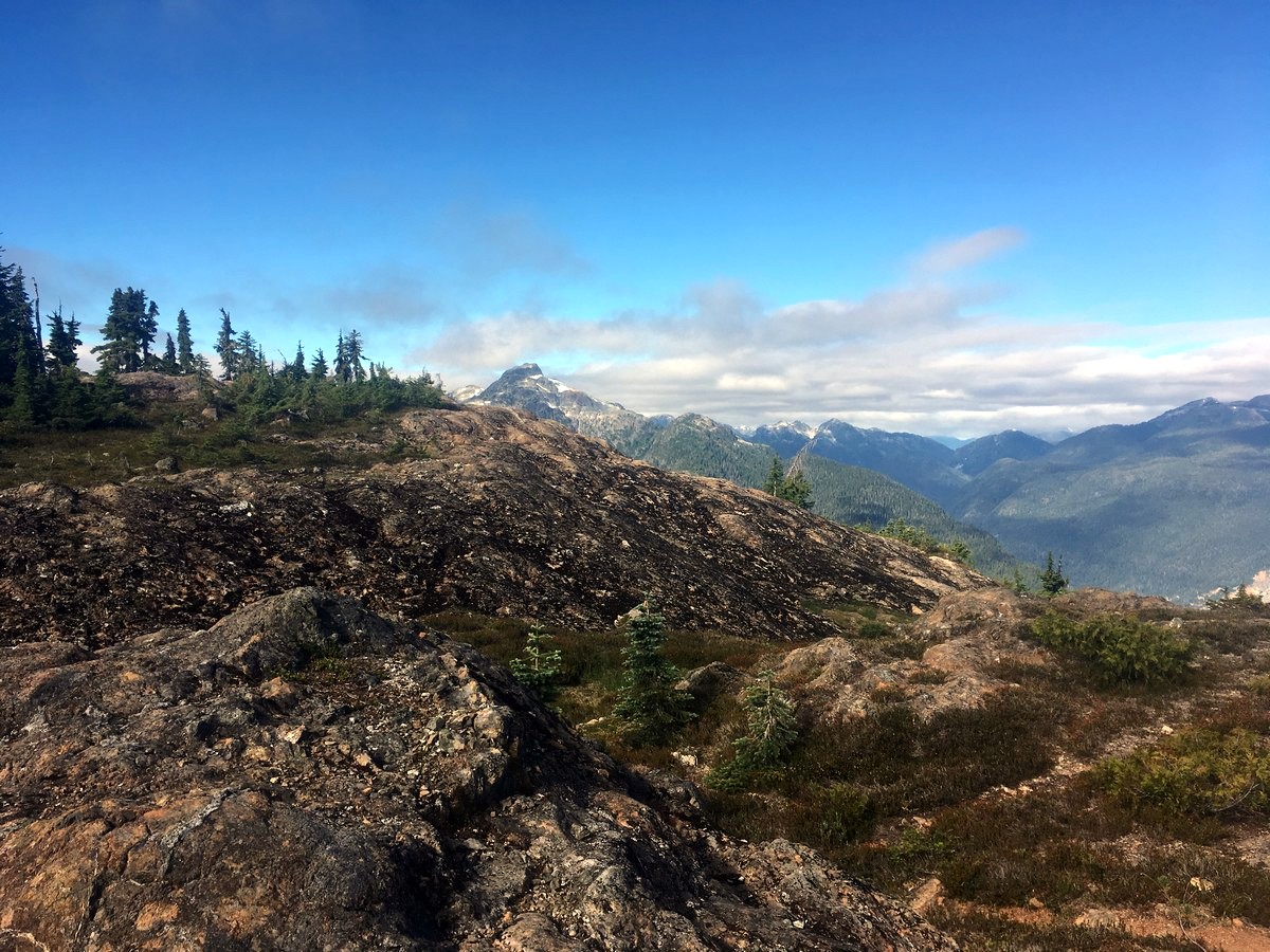 Mt Albert Edward from the Flower Ridge Hike in Strathcona Provincial Park, Canada