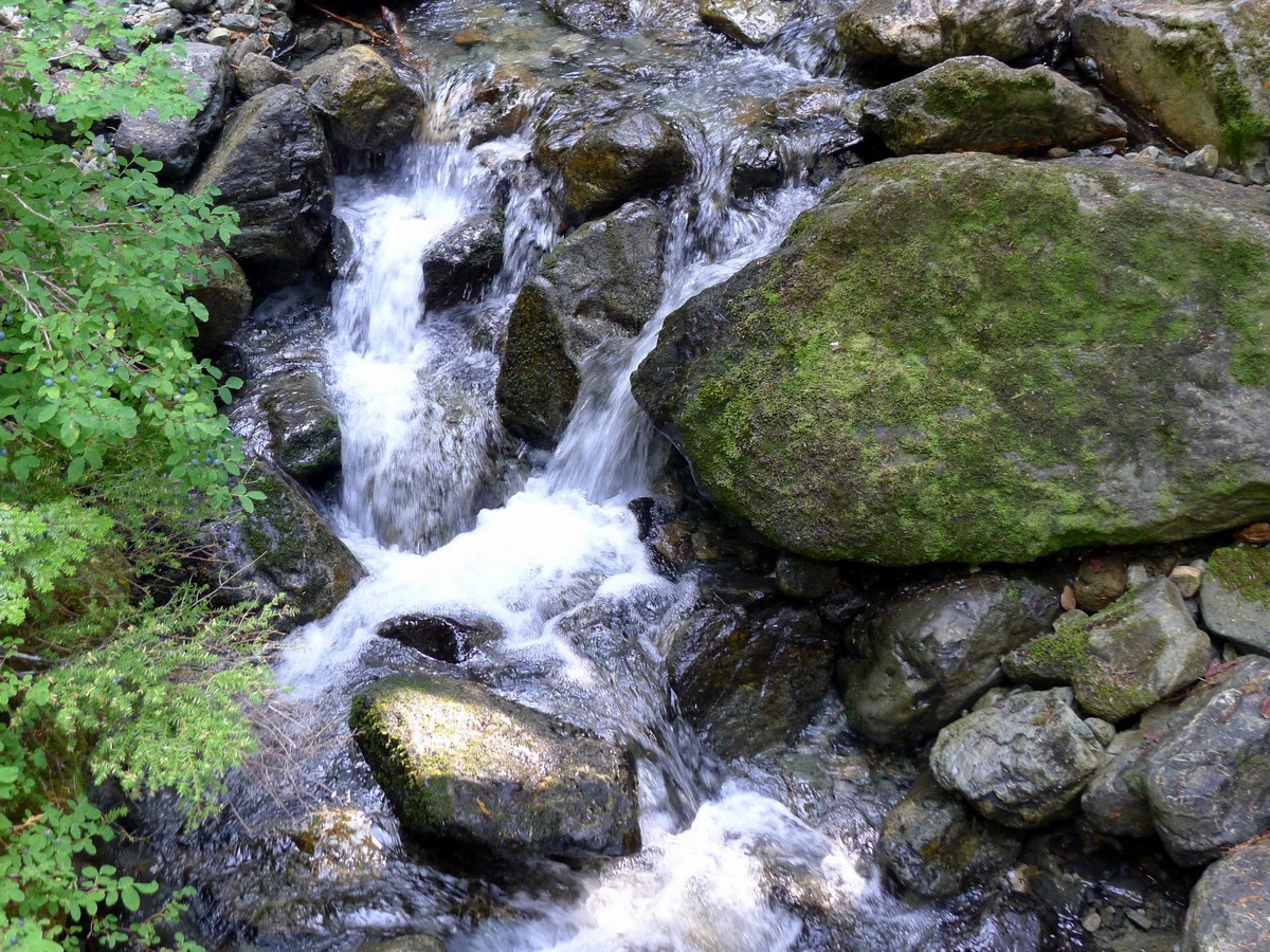 Gurgling stream on the Bedwell Lake Hike in Strathcona Provincial Park, Canada