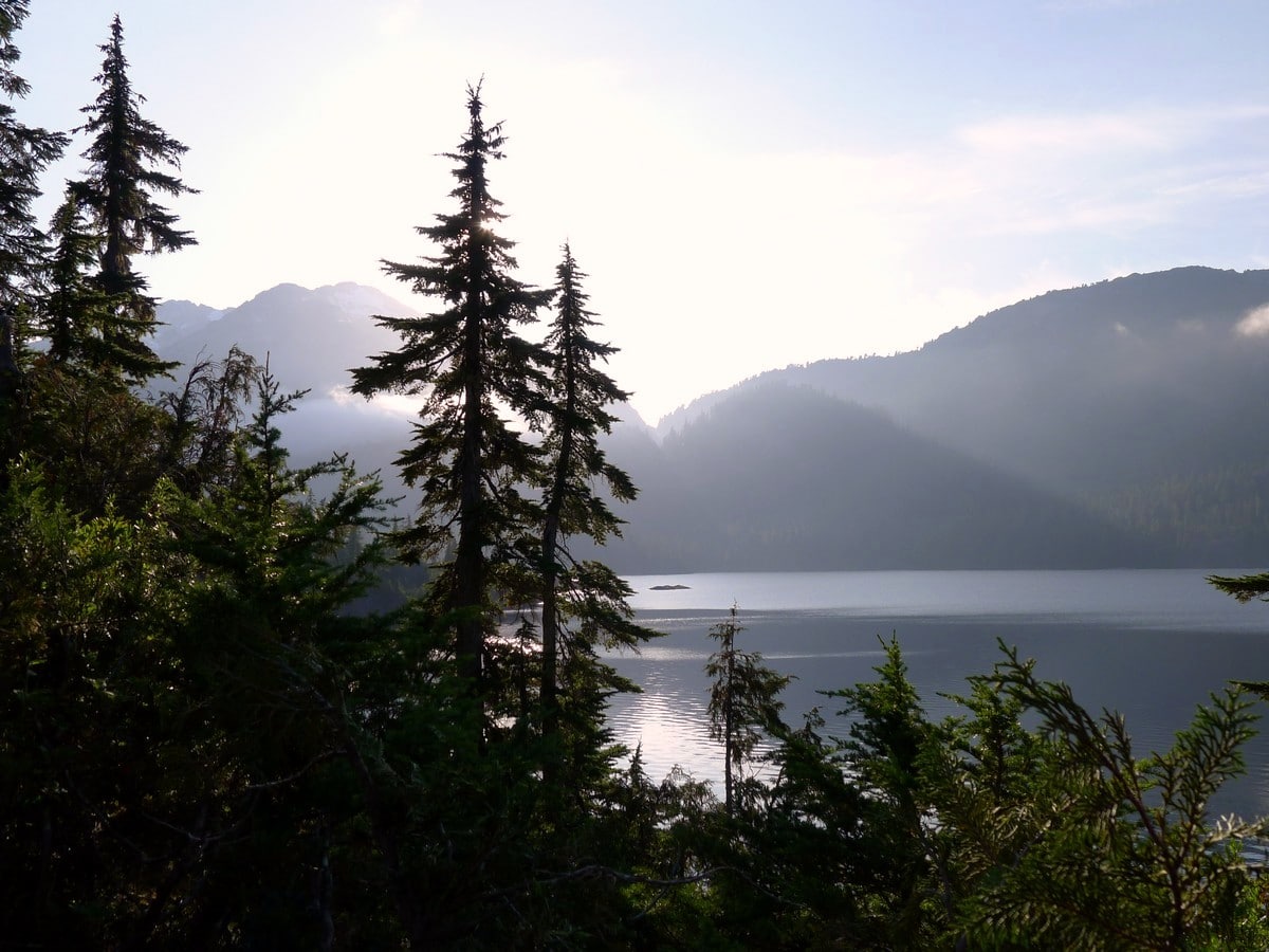 Sunlight from the campground on the Bedwell Lake Hike in Strathcona Provincial Park, Canada