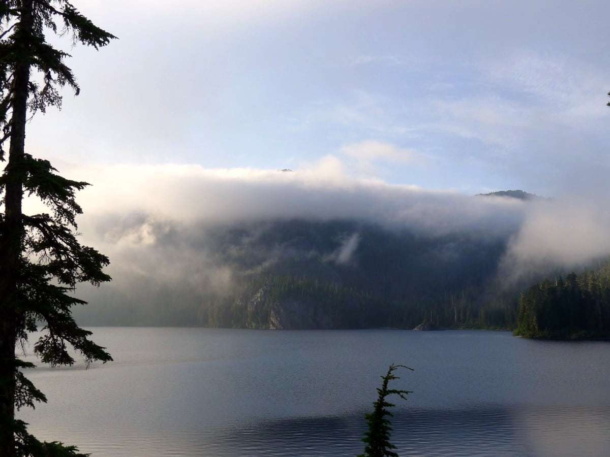 Fog on the Bedwell Lake Hike in Strathcona Provincial Park, Canada