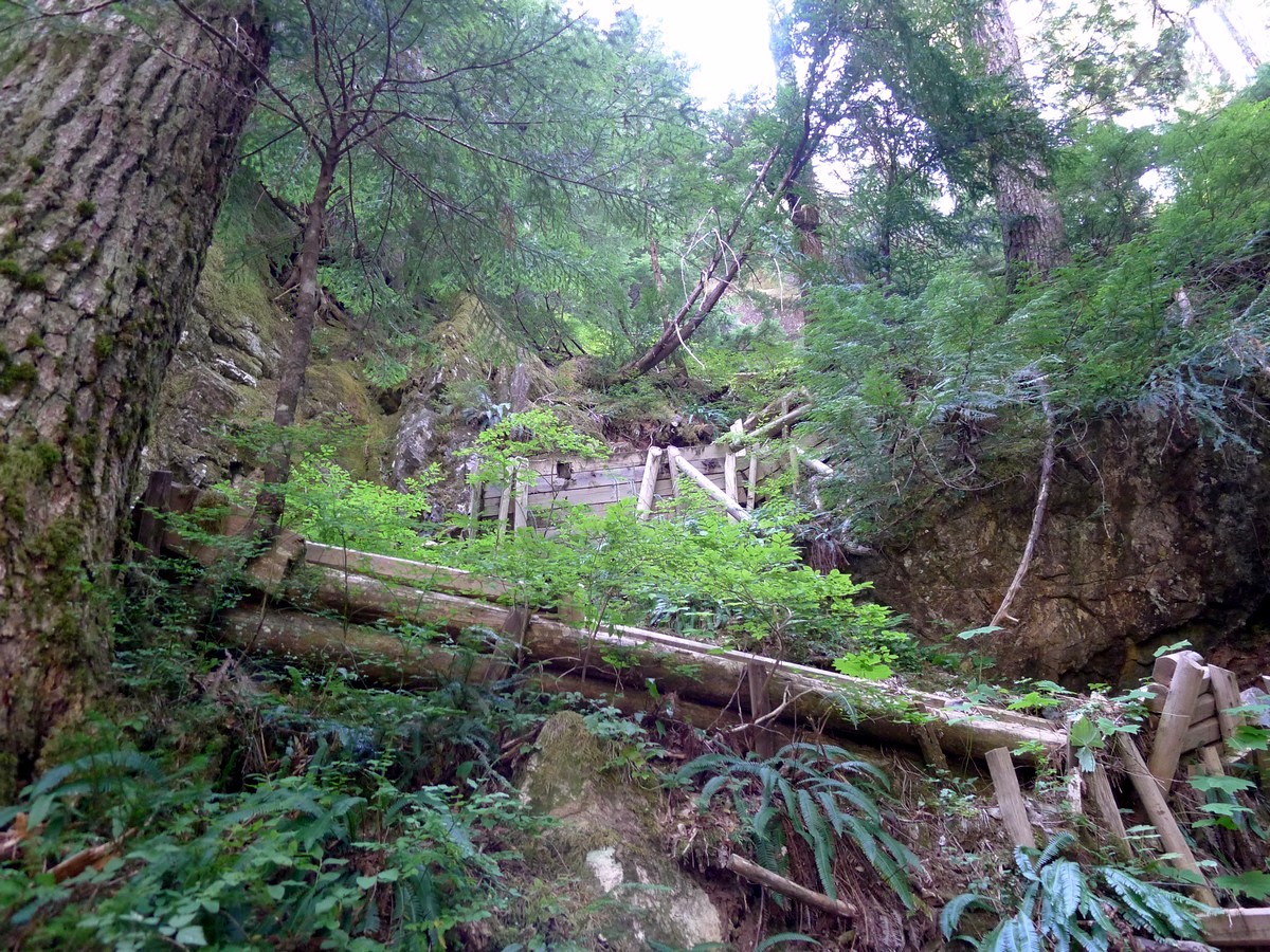 Well maintained trail on the Bedwell Lake Hike in Strathcona Provincial Park, Canada