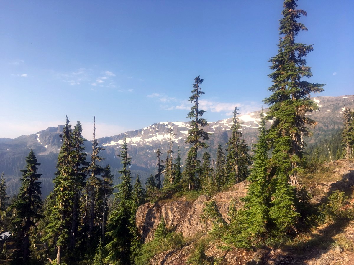 Climb upon the Mt Albert Edward Hike in Strathcona Provincial Park, Canada