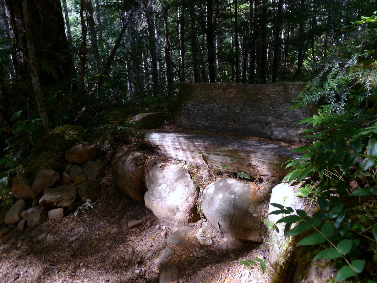 Wooden bench on the Lady Falls Hike in Strathcona Provincial Park, BC