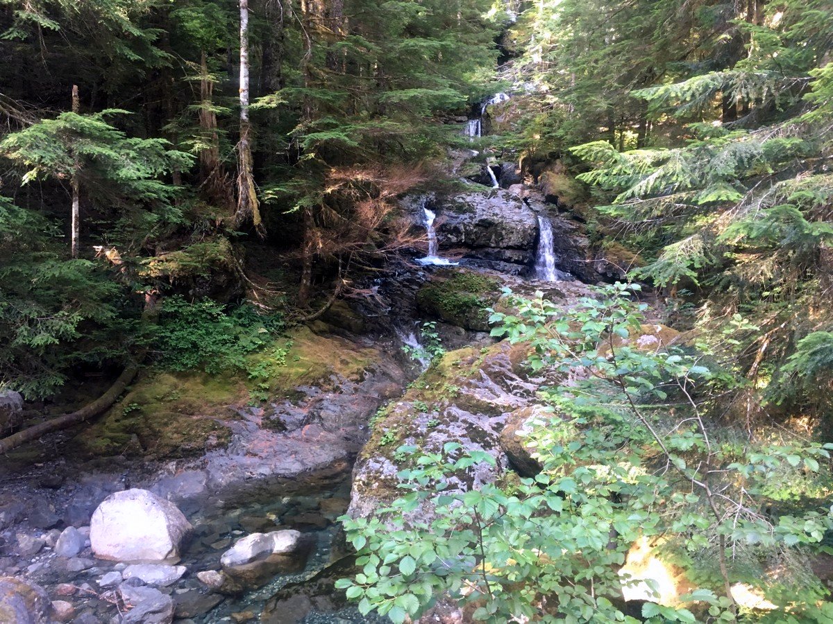 Trickling falls on the Elk River Trail Hike in Strathcona Provincial Park, Canada