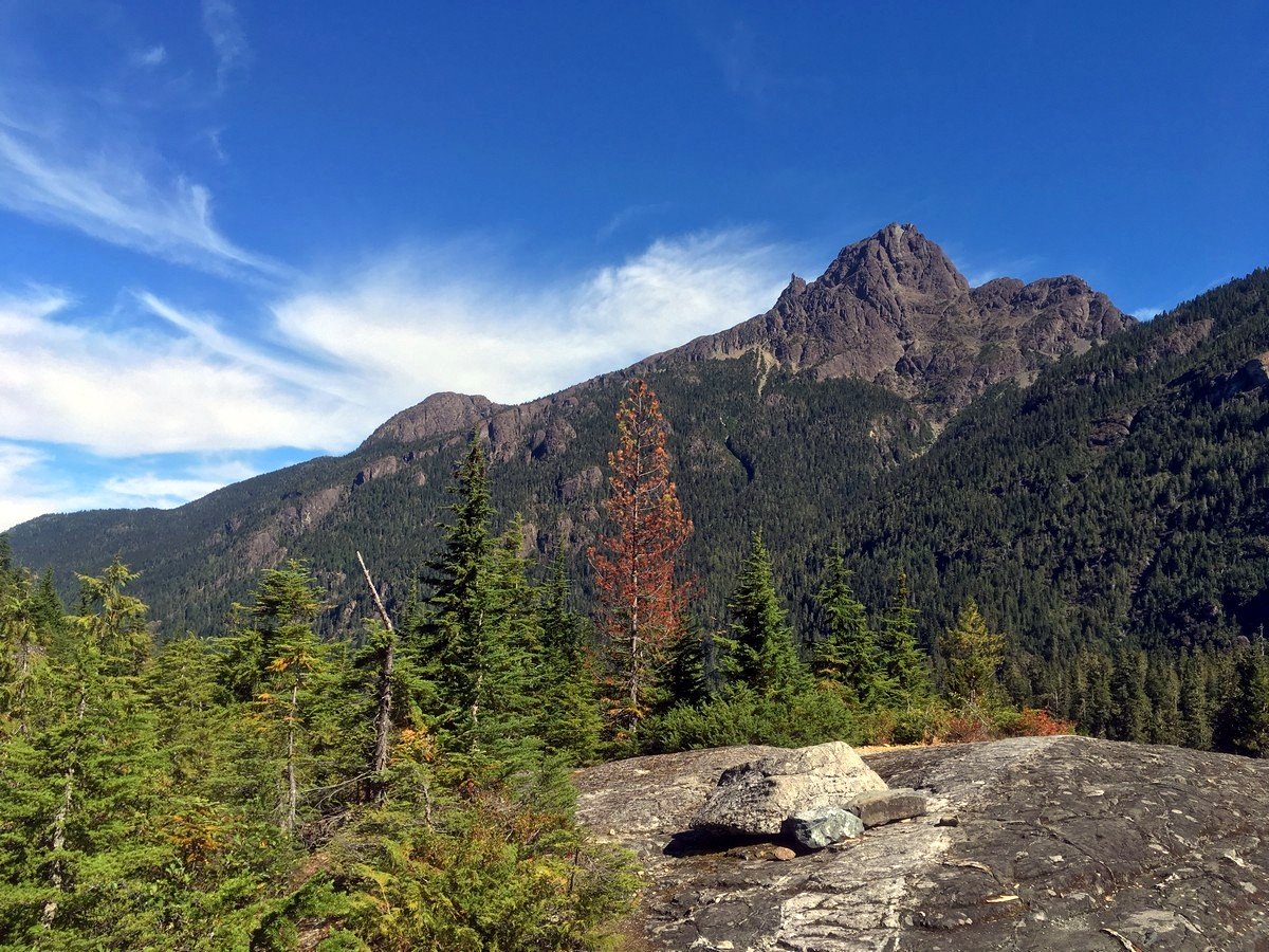 Elkhorn view from the Elk River Trail Hike in Strathcona Provincial Park, Canada