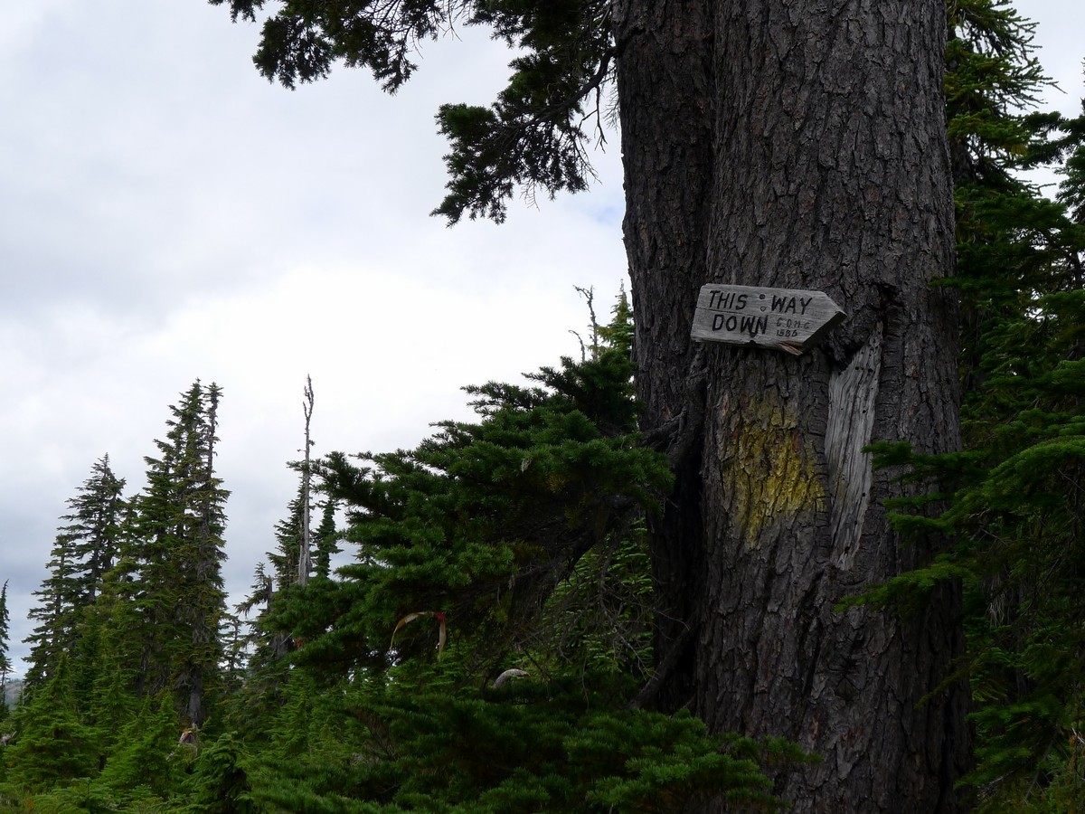 Way down on the Mt Becher Hike in Strathcona Provincial Park, Canada