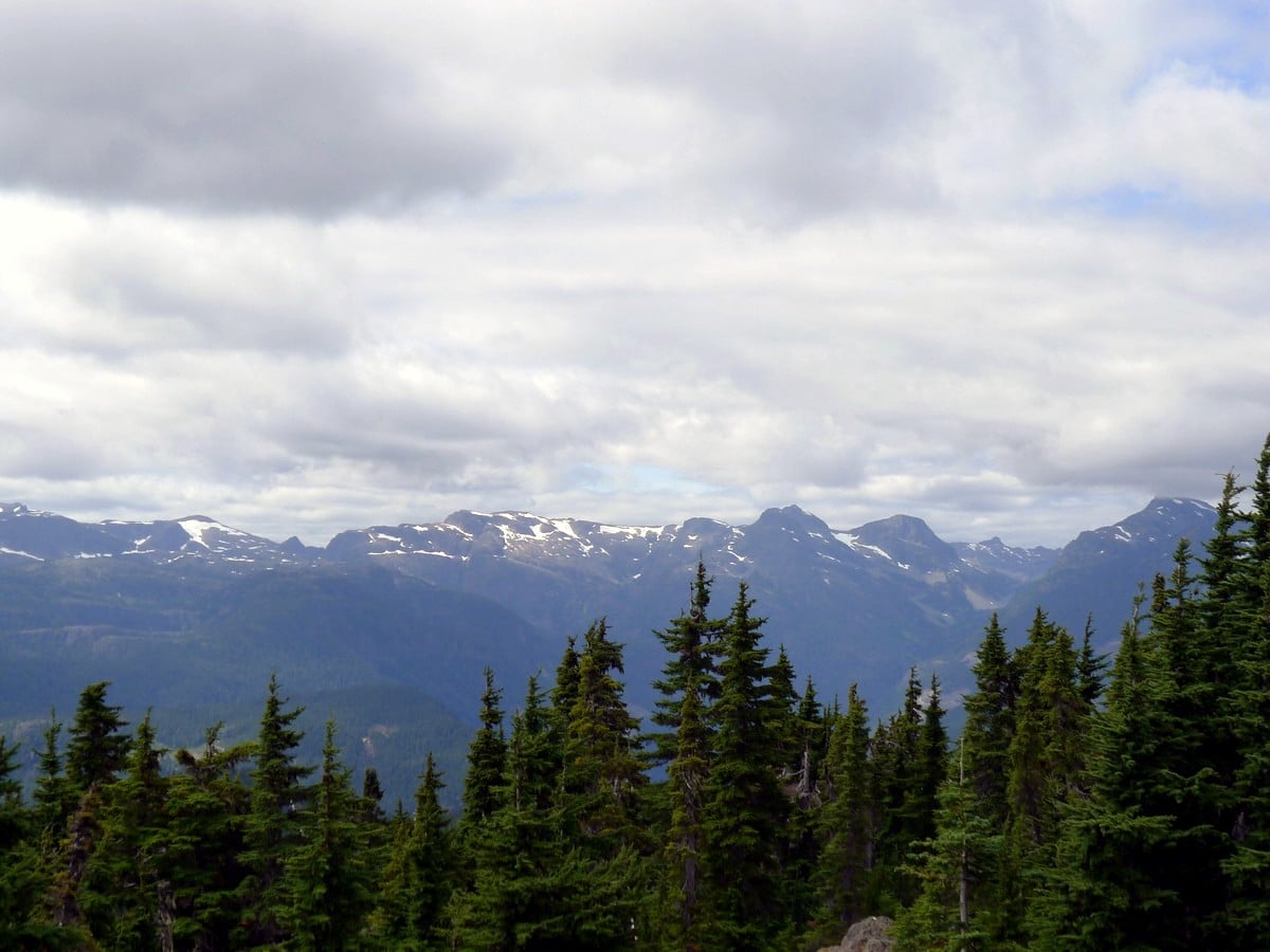 Mountains on the mainland as seen from the Mt Becher Hike in Strathcona Provincial Park, Canada