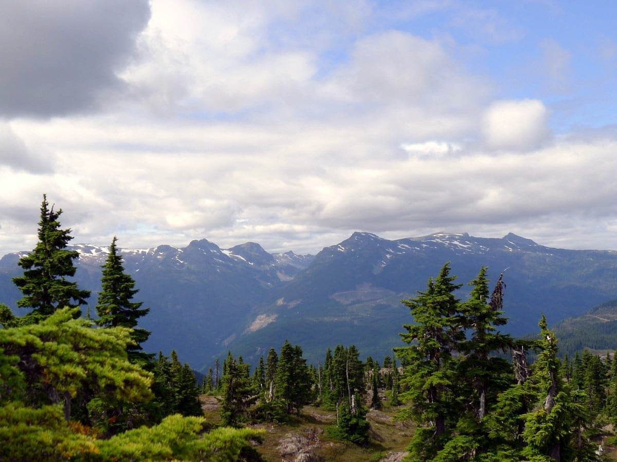 View from the summit of the Mt Becher Hike in Strathcona Provincial Park, Canada