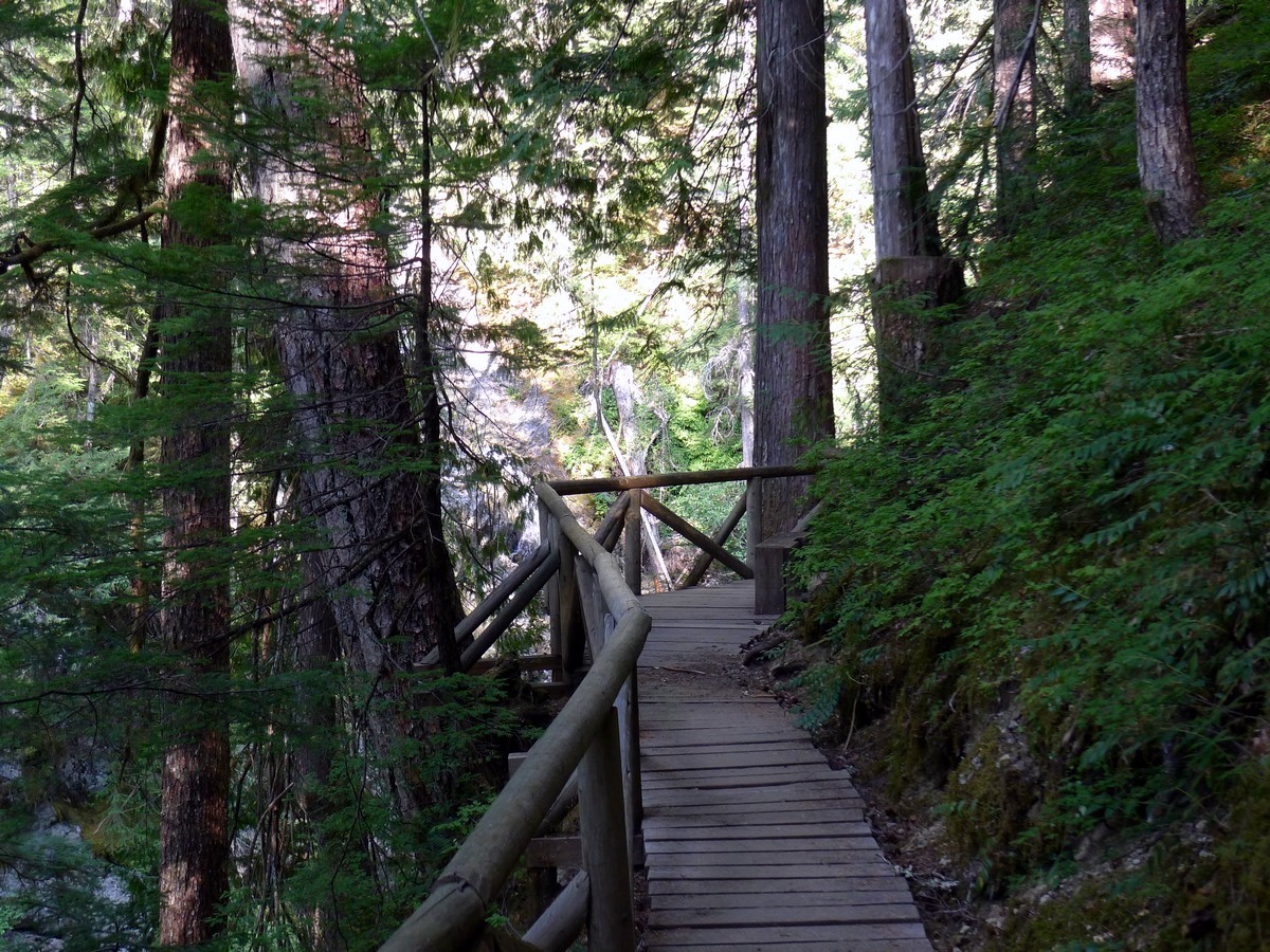 The viewing platform for the Falls on the Augerpoint Beach Hike in Strathcona Provincial Park, Canada