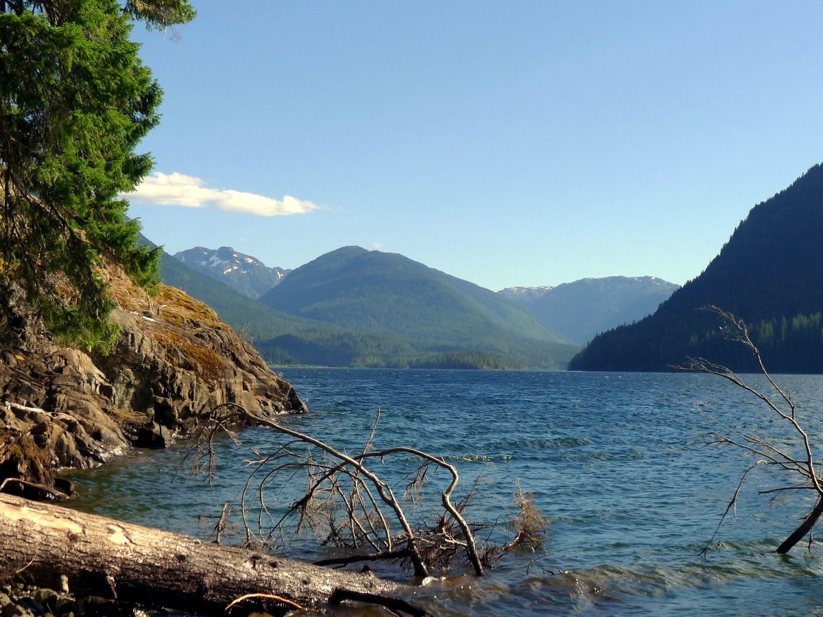 Flower Ridge to the south of the Augerpoint Beach Hike in Strathcona Provincial Park, Canada