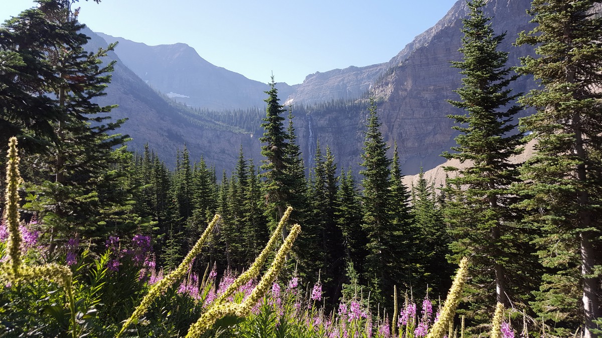 Crypt Lake Hike in Waterton Lakes National Park goes near beautiful Crypt Falls